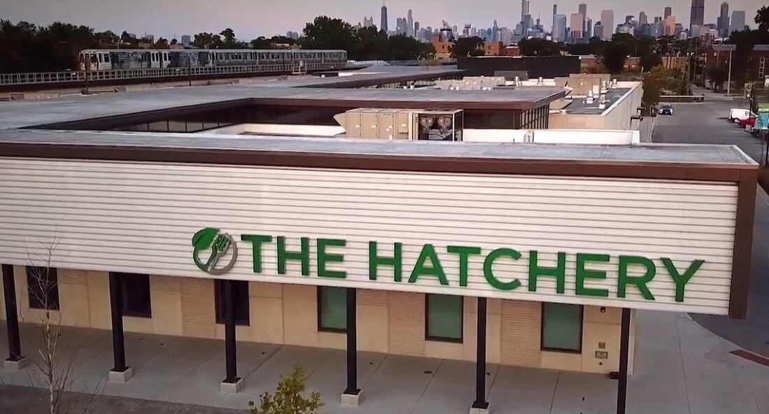 Univar-Solutions-partners-with-The-Hatchery-to-bring-creative-new-food-solutions-to-market.jpg