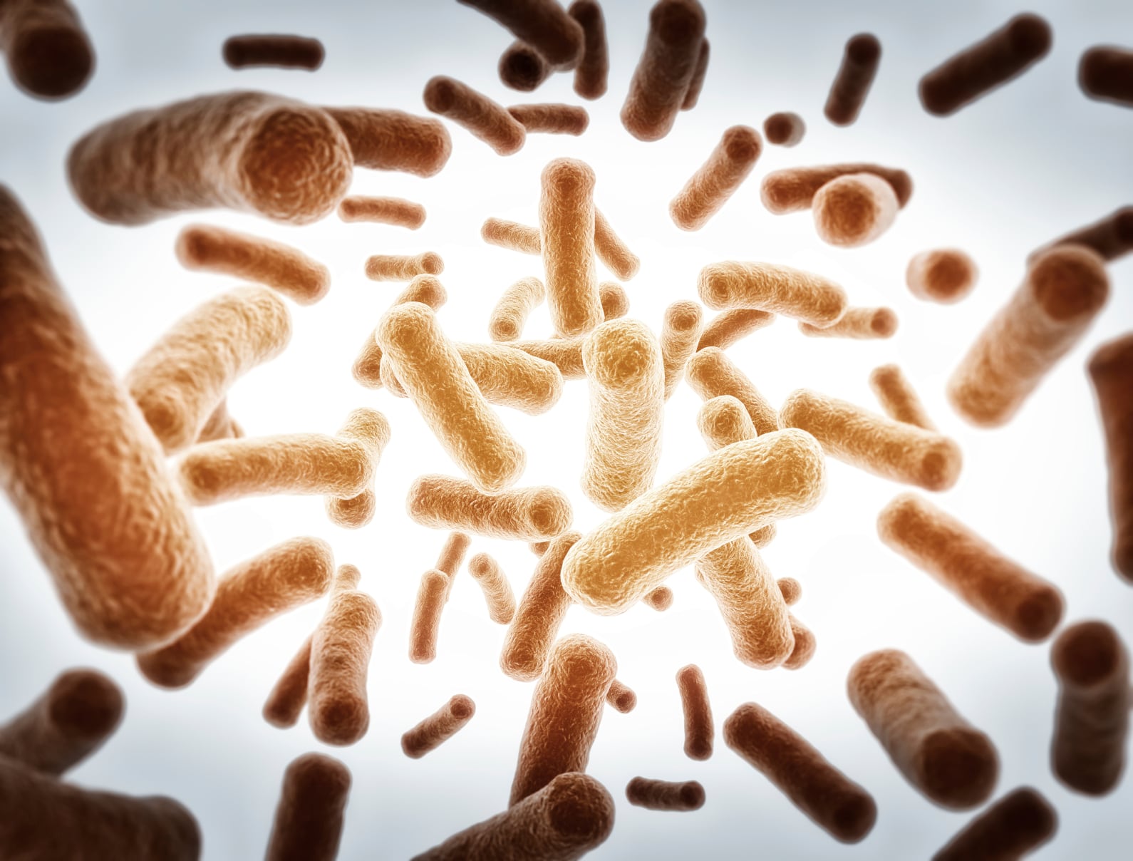 Probiotics-C-Jezperklauzen.jpg