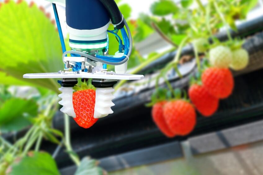 Robot farm attracts funding to address food sector’s ‘greatest challenges’