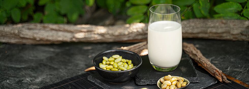 The-production-of-milk-alternatives.jpg
