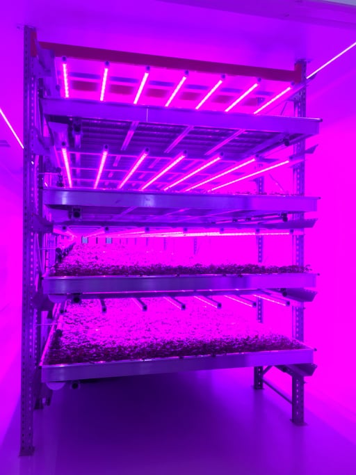 vertical-farming-Andrew-Linscott.jpg