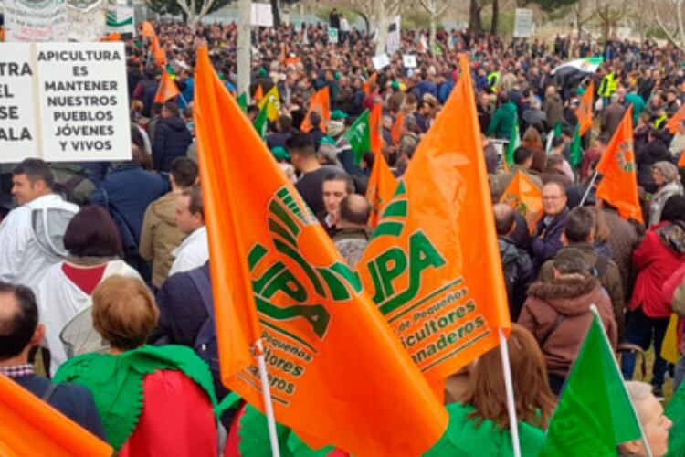 Farmer protests continue despite Spain’s minimum food pricing law: ‘This does not end here’