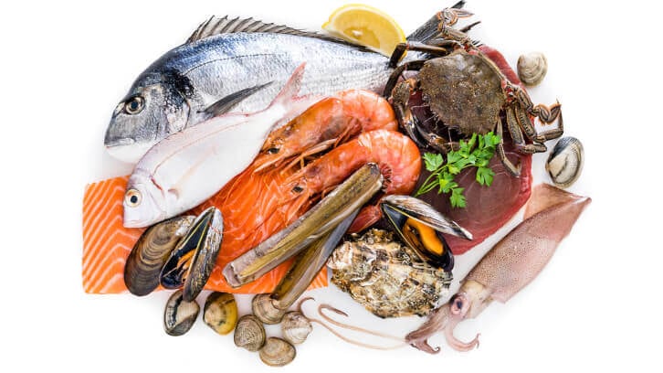 Umami Bioworks, Shiok Meats merge to scale cultivated seafood production