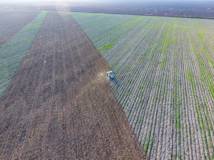 ‘Concerning long-term decline’: UK farmers warn on food shortages post-Brexit