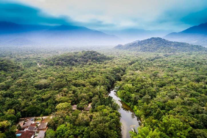 Rainforest to table: Cumari creates responsible supply chains for novel Amazonian ingredients