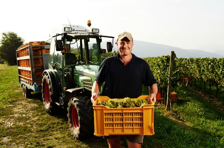 Senate rejects French Agriculture Bill: ‘New constraints will weigh on farmers and manufacturers’ 
