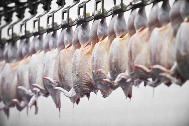 US poultry industry hits back at chlorinated chicken ban