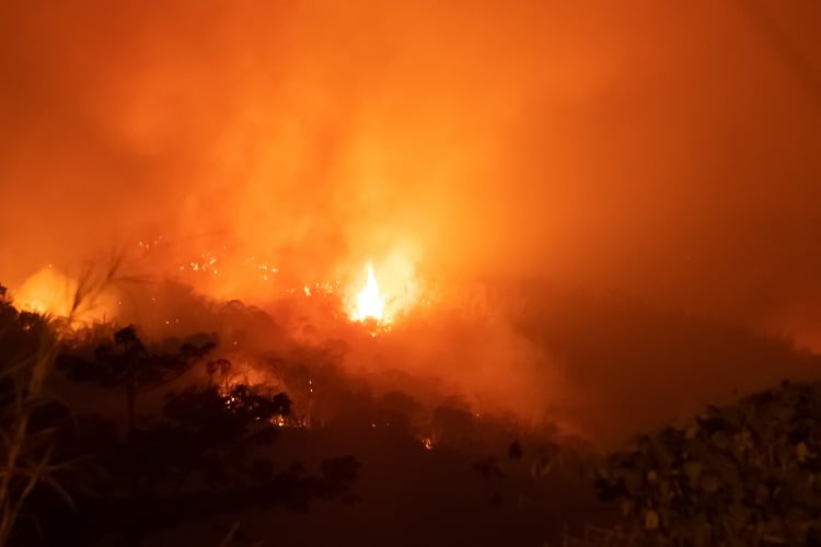 Greenpeace links fire hotspots with RSPO growers and members