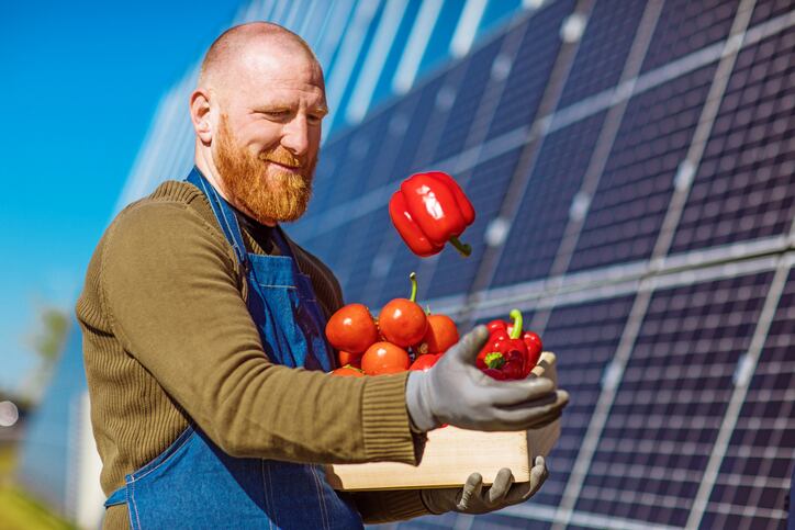 Let-there-be-light-Netherlands-probes-photonics-for-food-security-solution.jpg