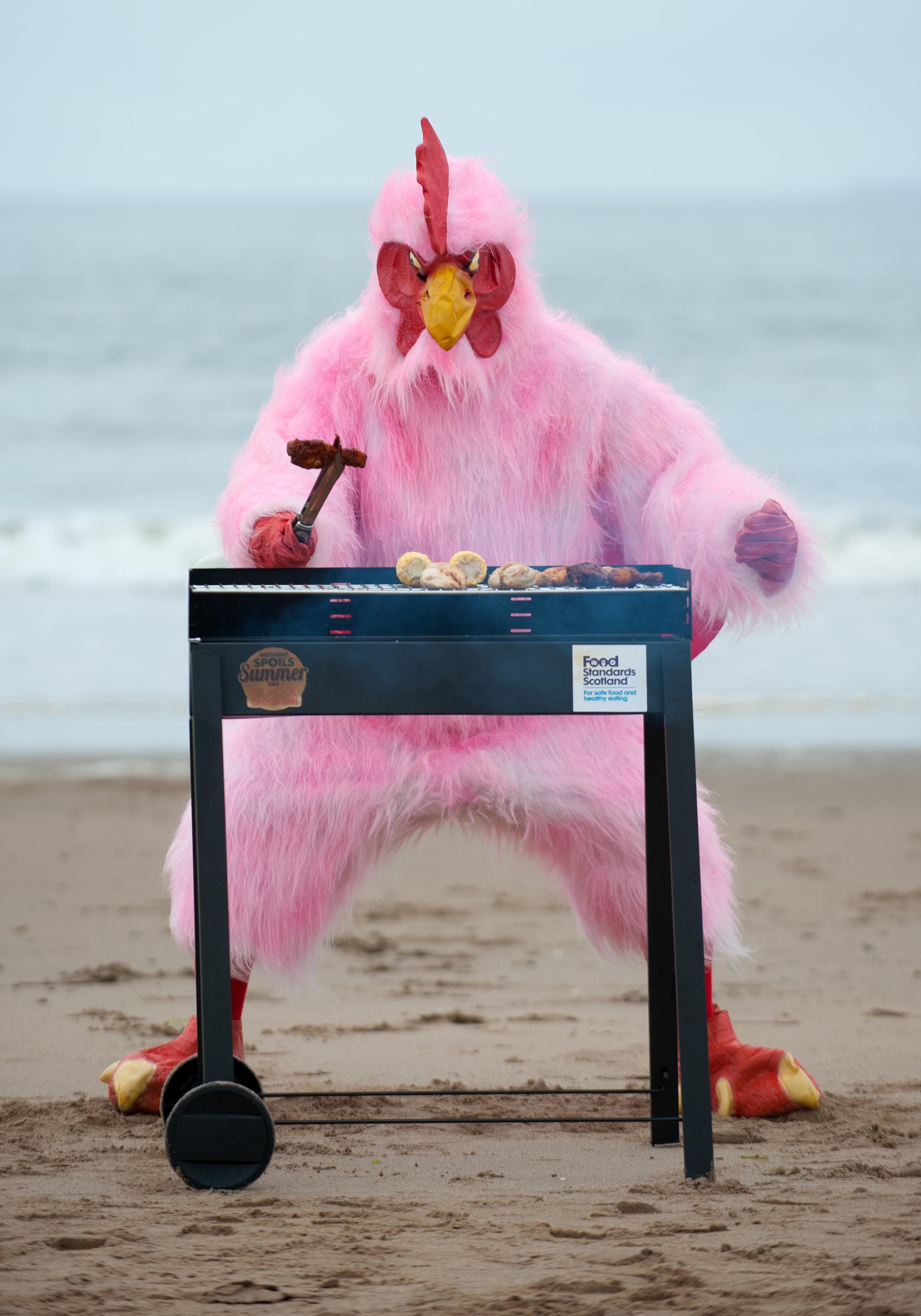 pinkchicken-fss.jpg