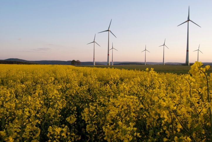 How can the food sector support the transition to renewable energy?