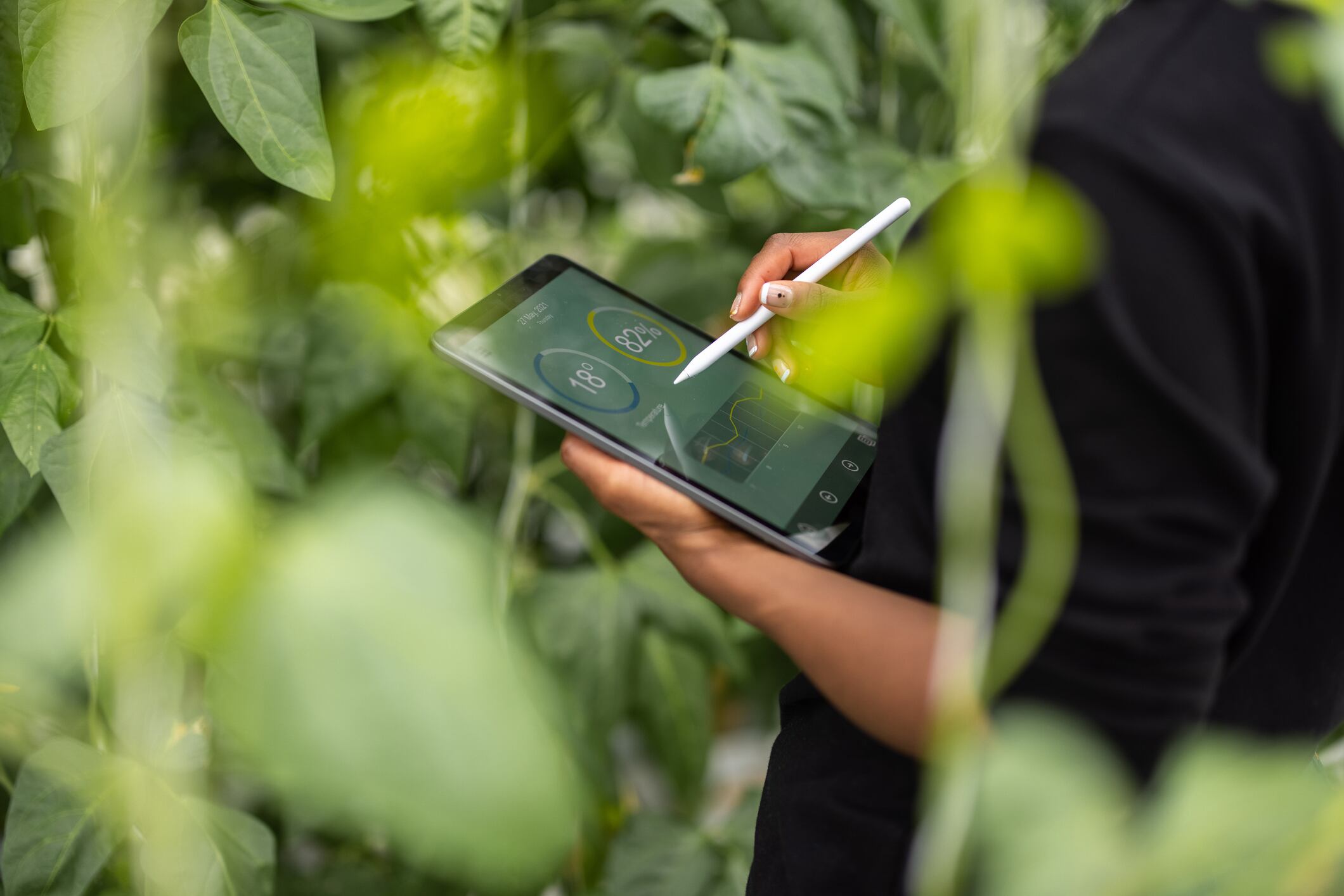 European labelling systems added to sustainability database