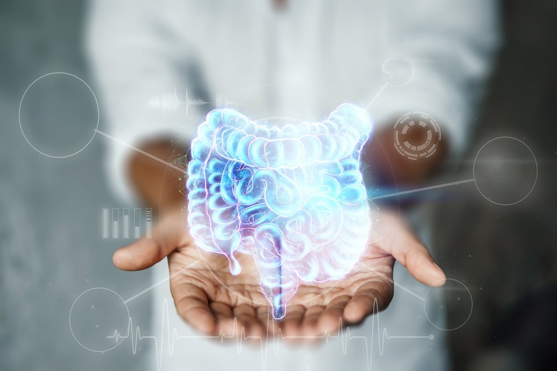 Study: Common food additive found to disturb beneficial bacteria in the gut 
