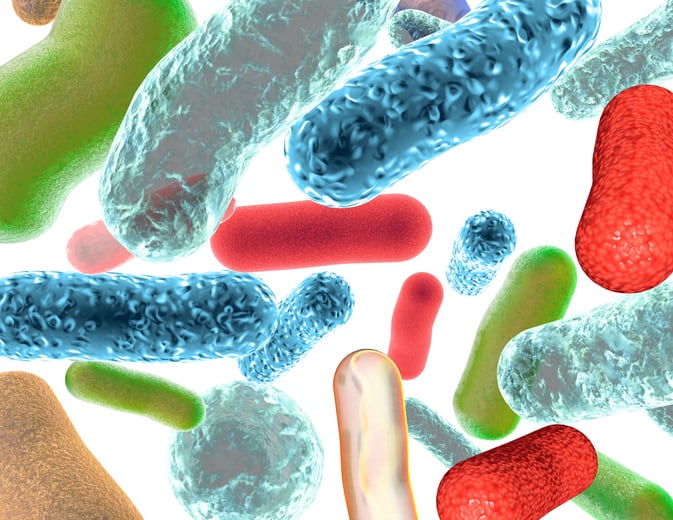 How has the pet food industry’s understanding of the microbiome in companion animals evolved in recent years?