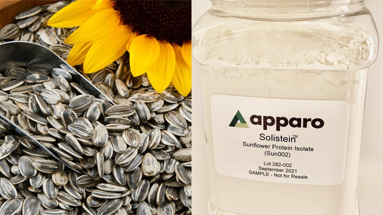 Upcycling protein tech co Apparo seeks partner to commercialize ‘highly functional’ sunflower protein isolates