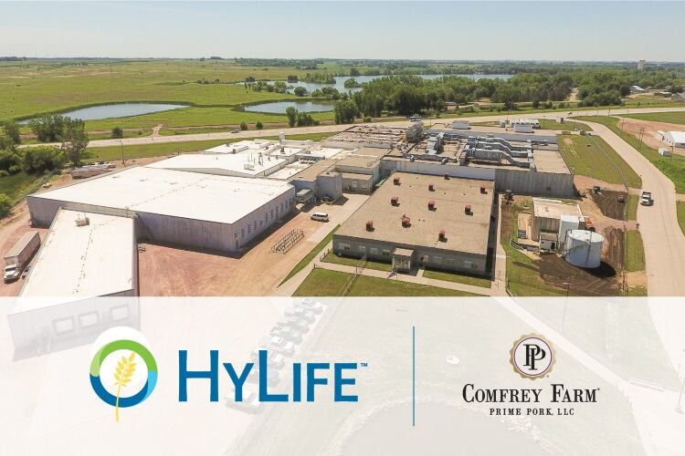 HyLife-invests-in-Prime-Pork-processing-business.jpg