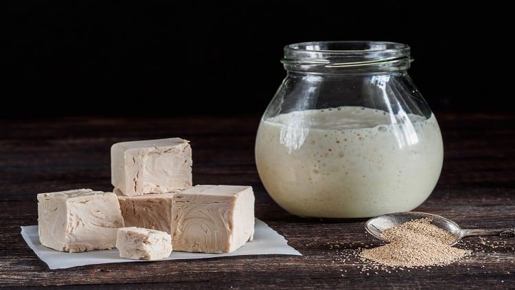 From yeast to protein: Lesaffre embarks on new research amid booming interest in plant-based protein