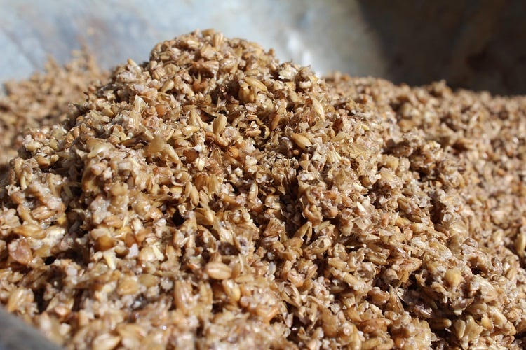 ‘This stuff is so abundant’: The benefits of using side streams in food production