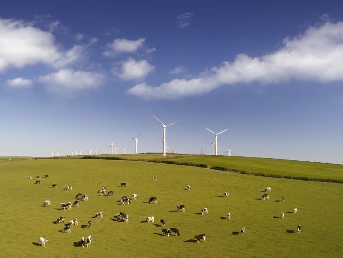 Consumers unwilling to pay premium for regenerative agriculture claims, survey finds