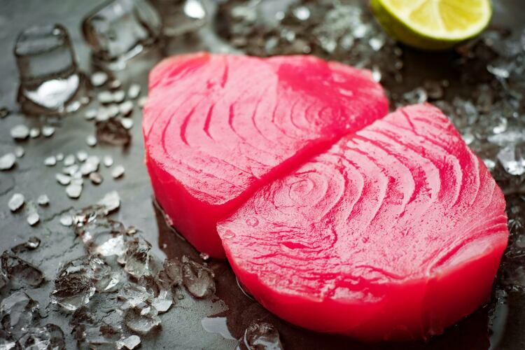 Yellowfin tuna ‘heading for collapse’ by 2026: A 20% reduction in catch would turn the tide