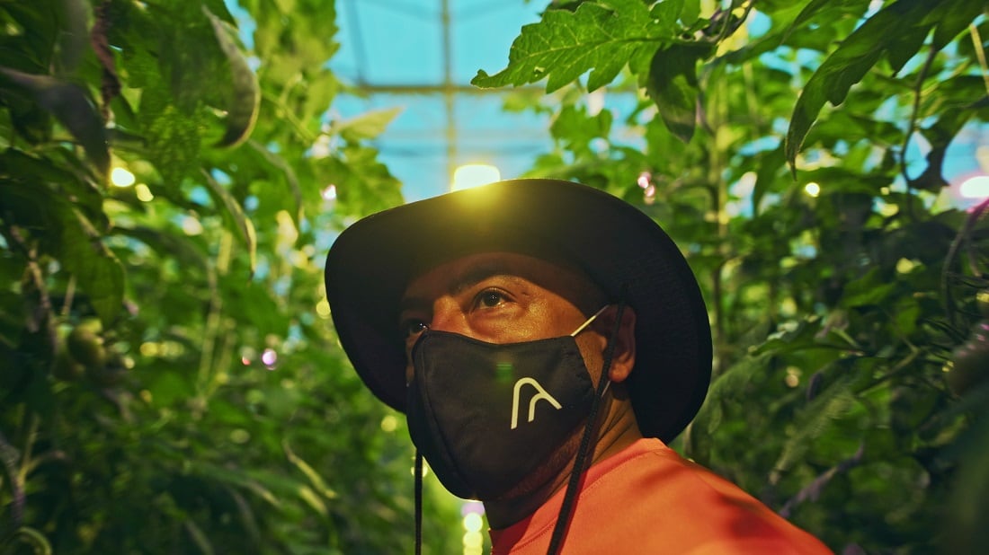 AppHarvest-secures-91m-financing-to-fuel-2025-indoor-farming-ambitions.jpg