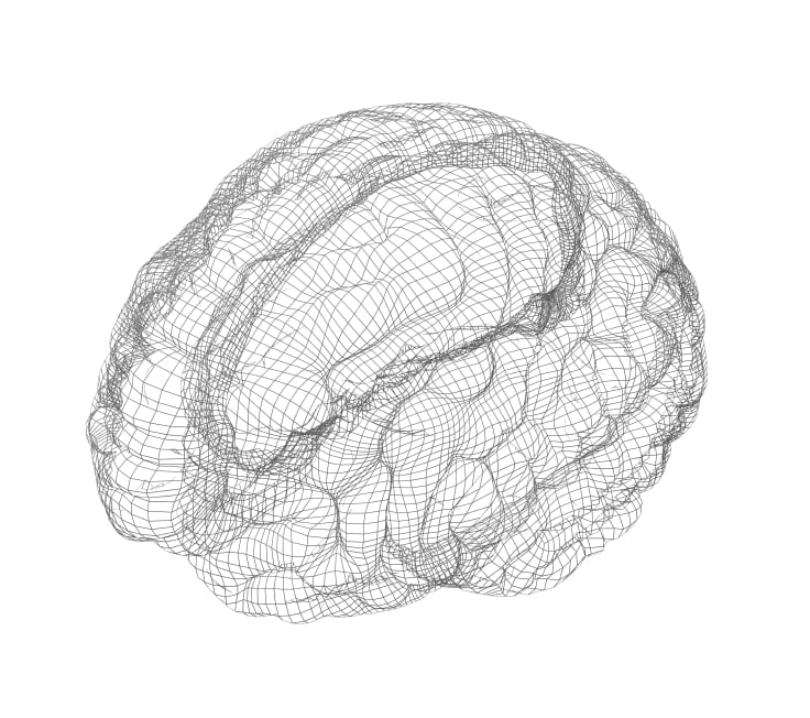 neuro-brain-cognitive.jpg