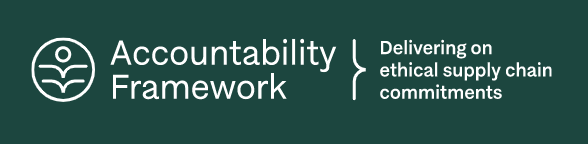 accountability-framework.png