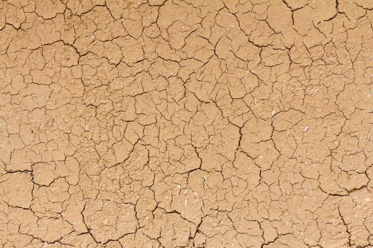 Australian-meat-industry-urges-more-drought-support.jpg