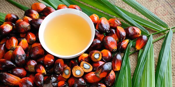 Palm-Oil.jpg