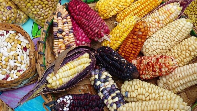 COVID-19 and self-sufficiency: Is local food production capable of meeting demand?