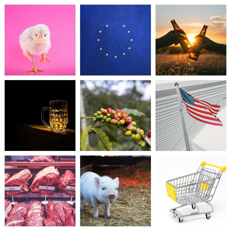 Brussels Bulletin: France to ban chick shredding and ‘sustainability charge’ on meat garners support