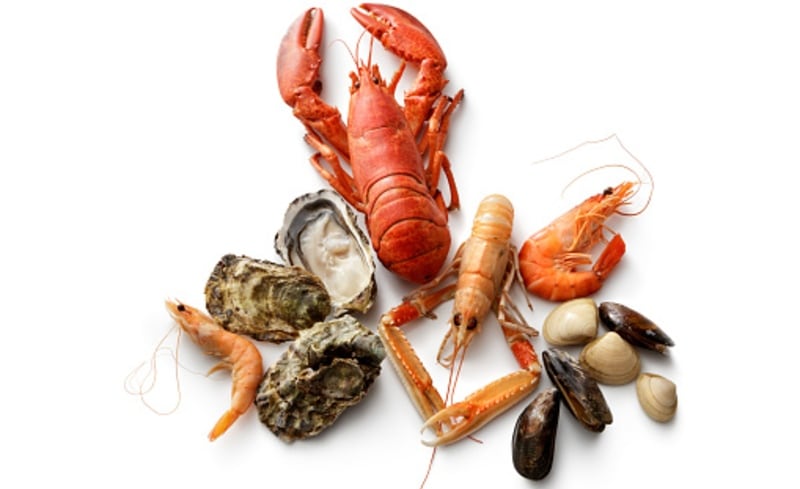 COVID-19-and-shellfish-New-Zealand-industry-positive-on-trade-recovery-despite-slew-of-toxin-warnings.jpg