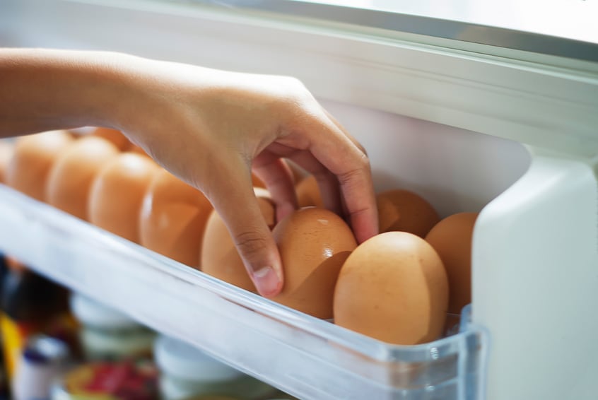 Egg intake not associated with cardiovascular disease risk