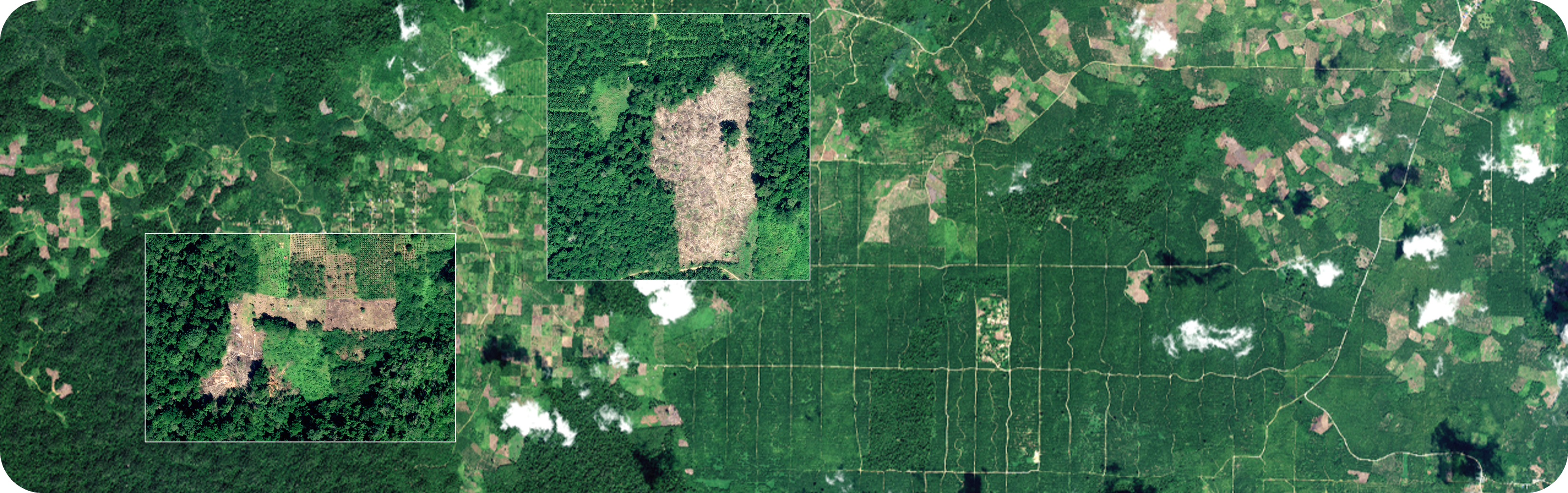 Satellite image of farm