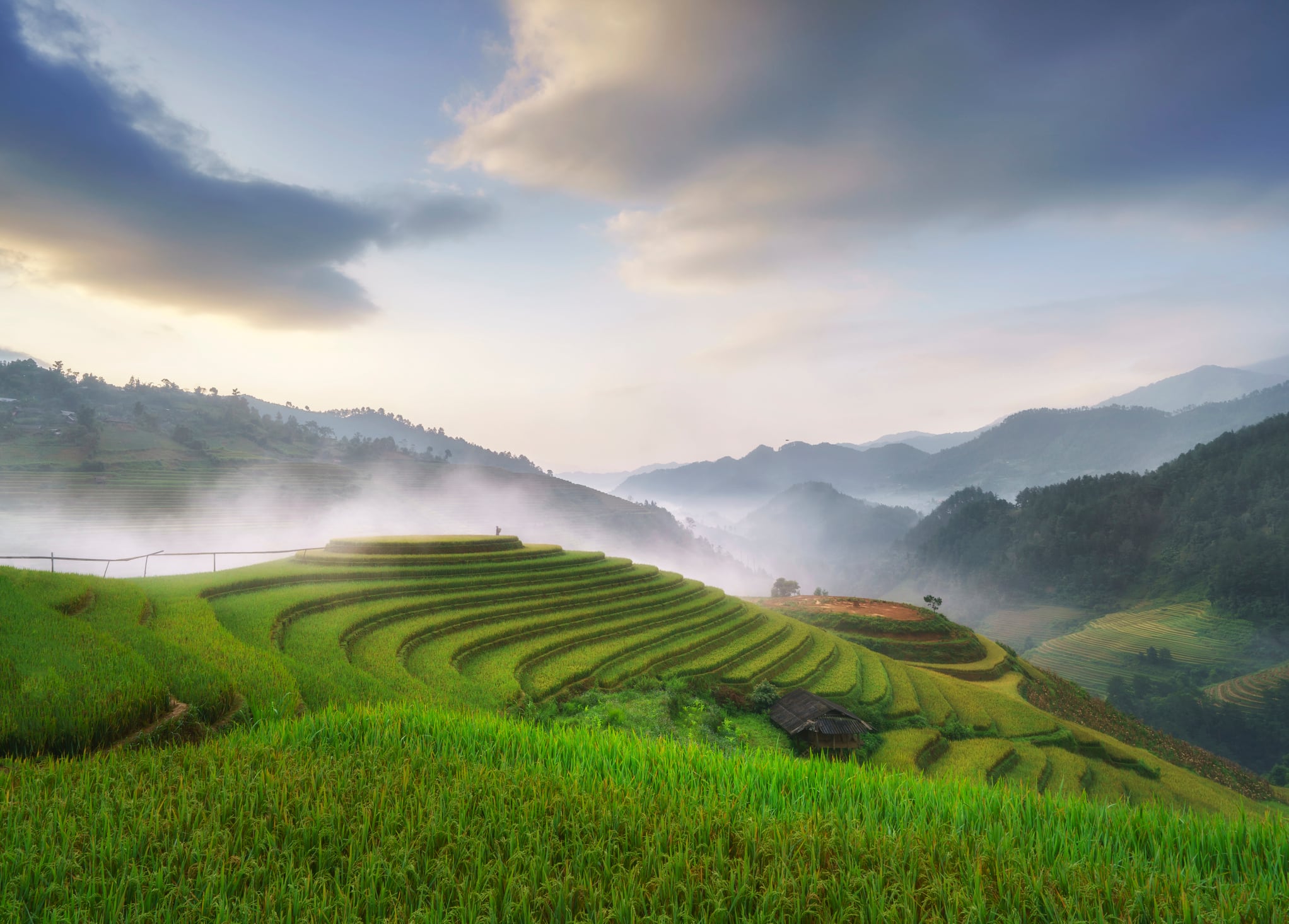 Paddy rice terraces in countryside area
