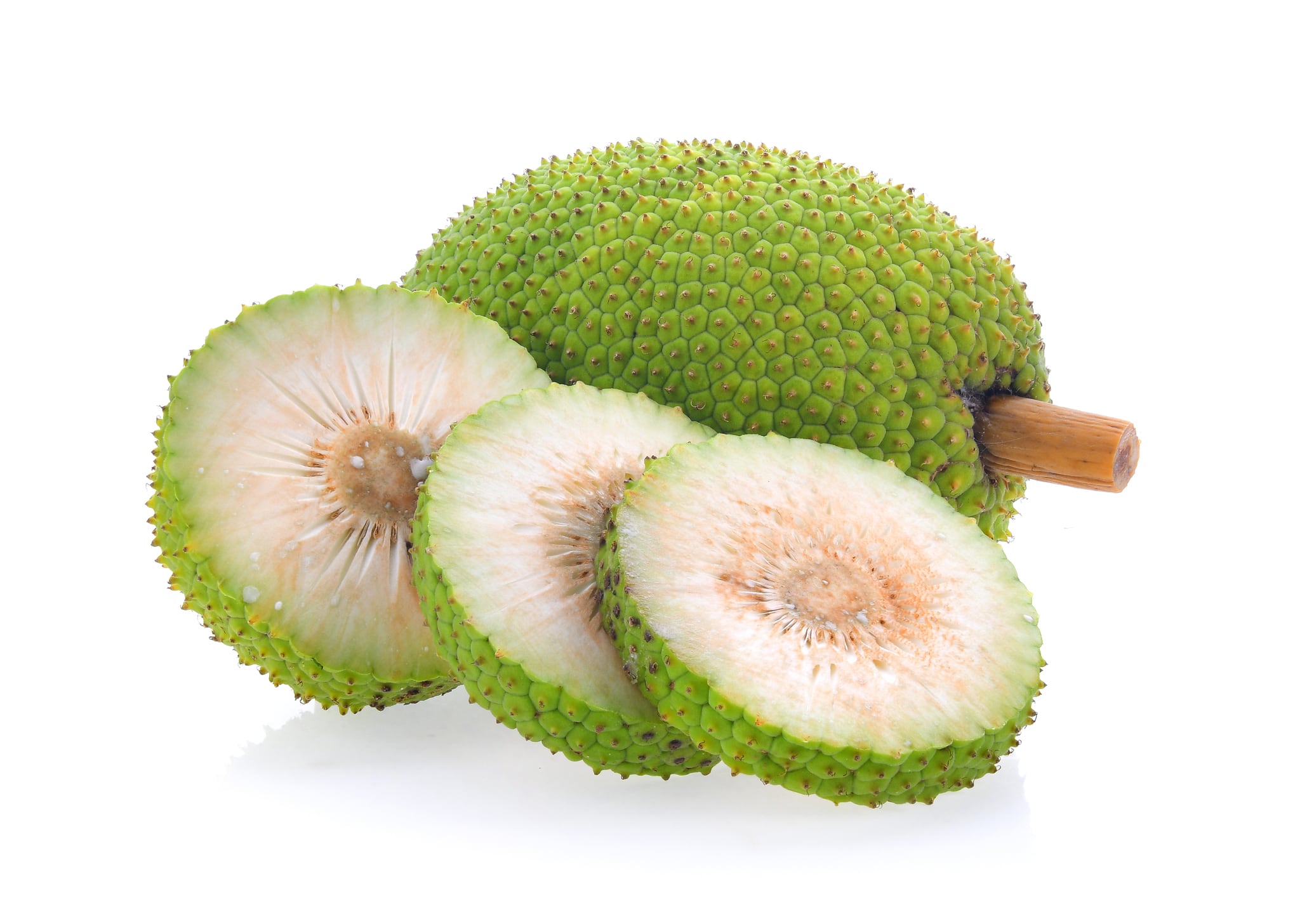 Xagro expands plantation operations to include breadfruit in Nicaragua
