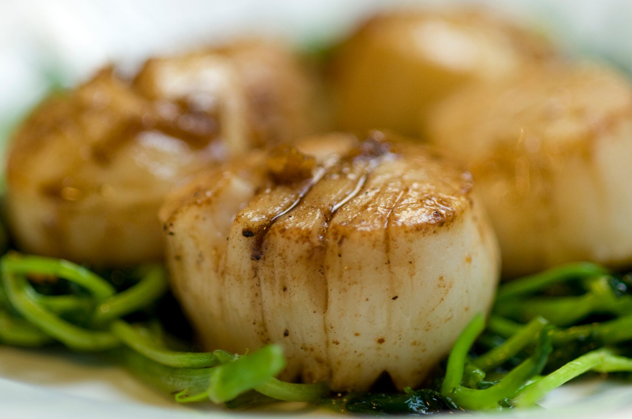Meet the start-up hooked on mycelium-based scallops: ‘We’ve left plants behind, and entered the fungi kingdom’
