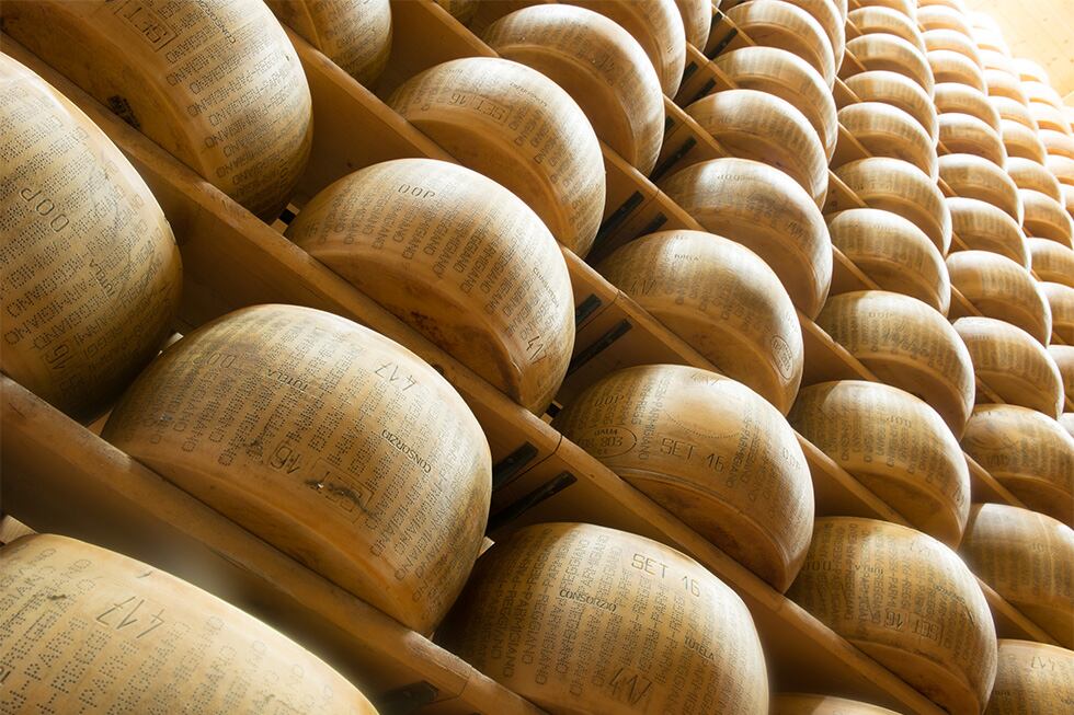 Exports grow DalterFood Group’s cheese sales higher 