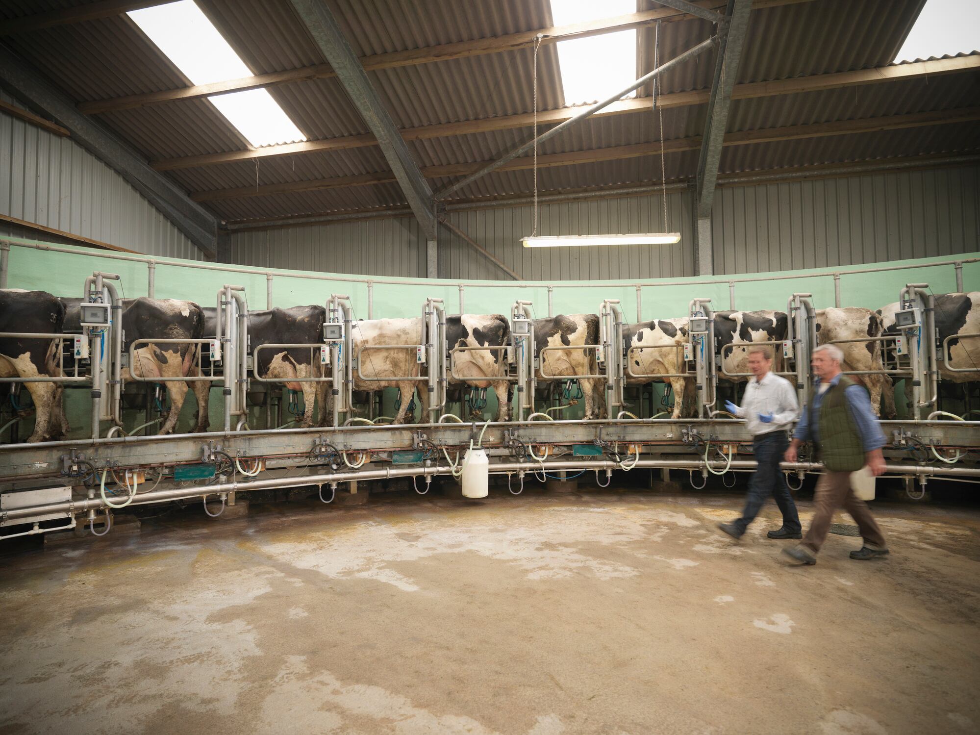Dairy UK rejects ‘mega-dairy’ environment claims as calls made for tighter regulation