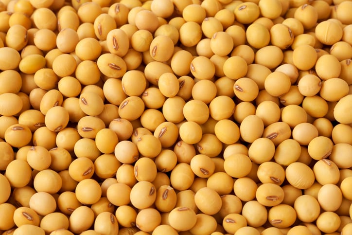 Addressing-risk-in-the-soy-supply-chain.jpg