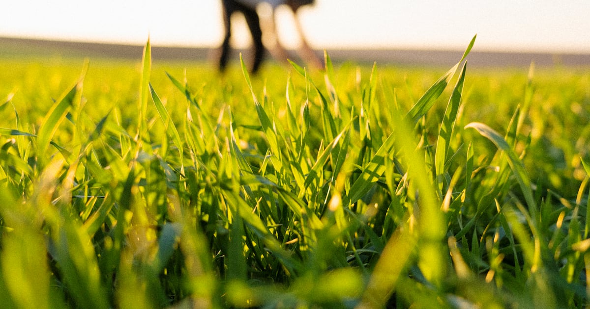 Mondelēz, Unilever, FrieslandCampina and others commit to regenerative agriculture acceleration