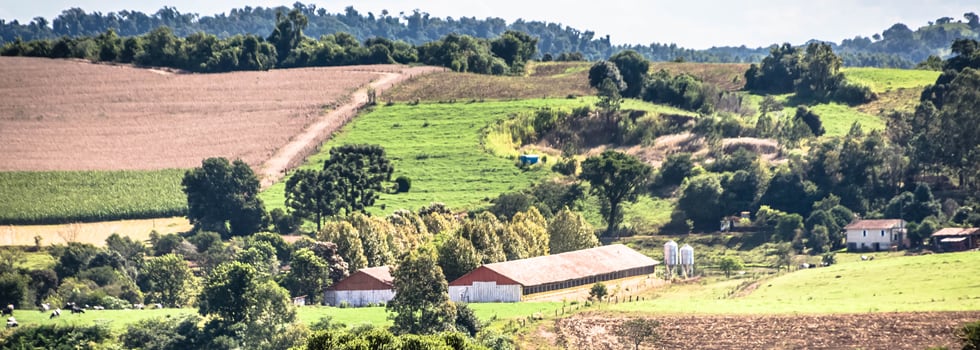 How-the-Brazilian-poultry-industry-is-adapting-to-changing-European-demands.jpg