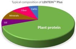 Lentein-composition.jpg