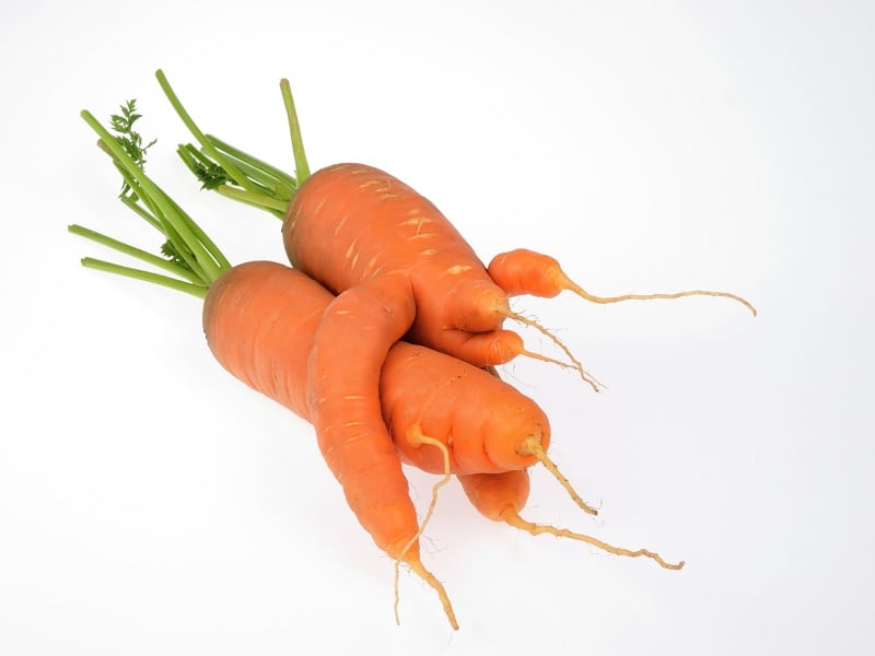 Back-to-basics-attitude-will-fuel-realistic-marketing-whole-food-sales-transparency-in-2019-predicts-KIND.jpg