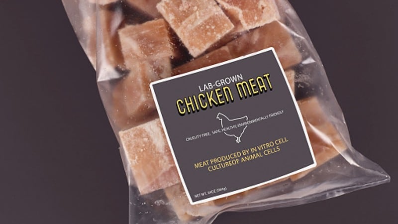 Hard cell? Expert opinions clash over GOOD Meat’s 3% cultivated chicken launch in Singapore