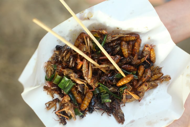 FSA allows edible insects to stay on market during ‘onerous’ Novel Food process