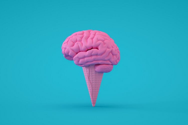 Predicting ultra-processing in food with machine learning algorithm