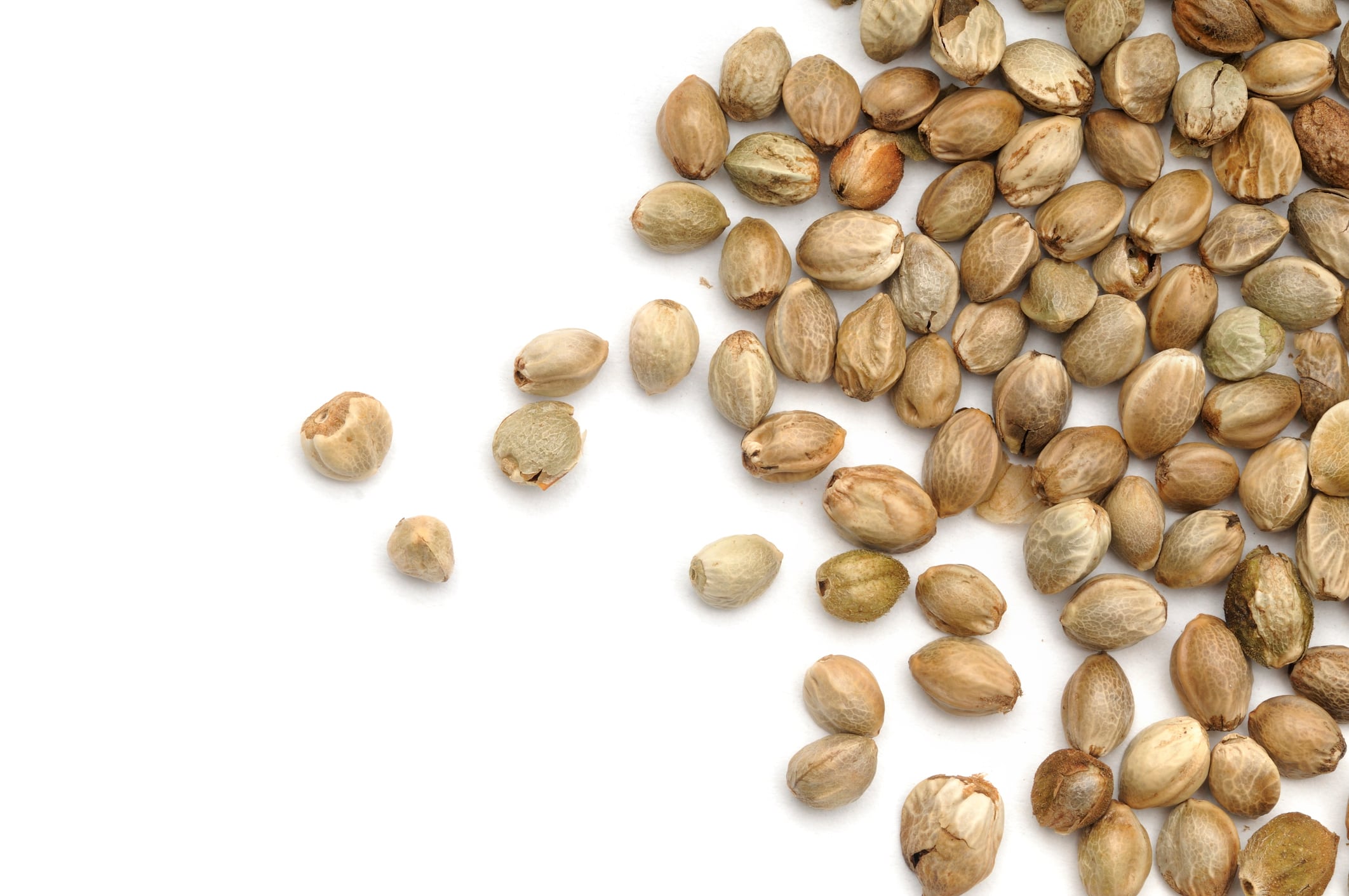 Brightseed closes $68M financing to accelerate A.I. discoveries and launch own ingredients