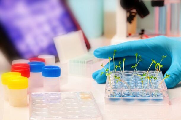 Citizen petition to prohibit non-GMO claims as misleading likely won’t gain traction, attorneys predict