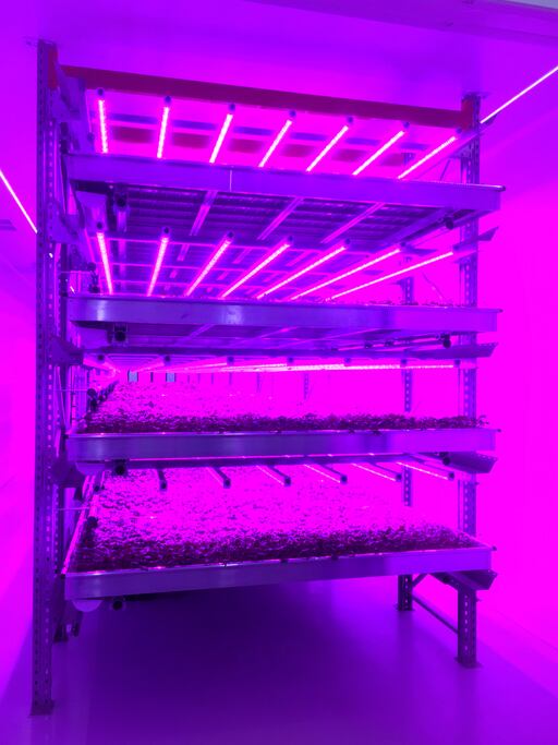 vertical-farming-Andrew-Linscott.jpg